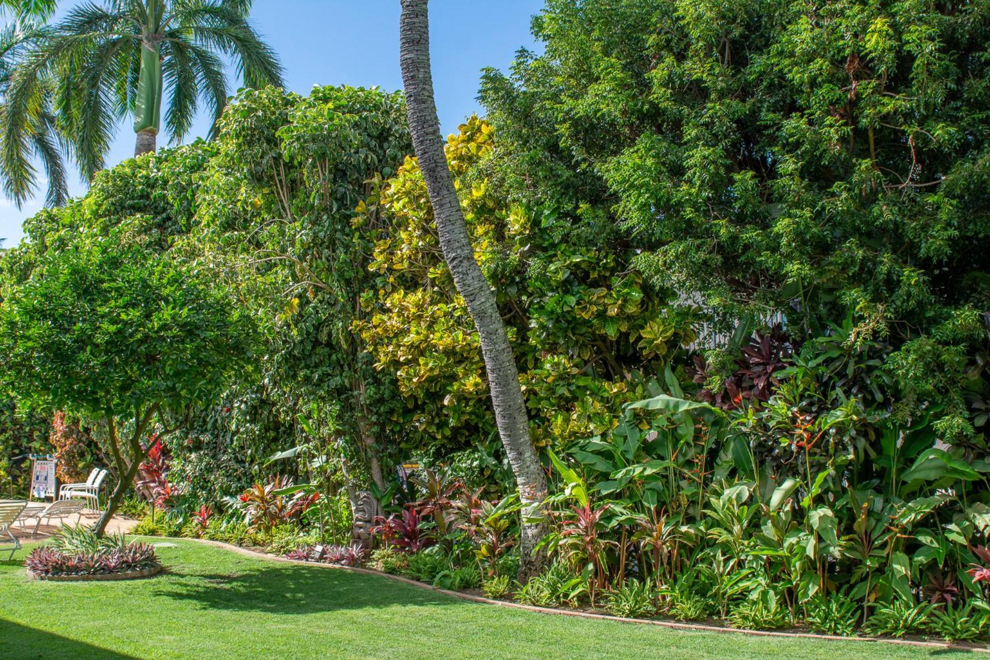 Napili Surf Beach Resort By Castle Kapalua Exteriér fotografie